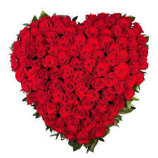 50 red roses heart